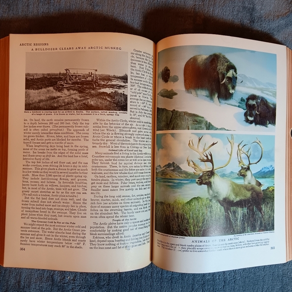 1958 Encyclopedia A Vintage Academia Ephemera Book Astronomy Arctic Archeology - Picture 13 of 16